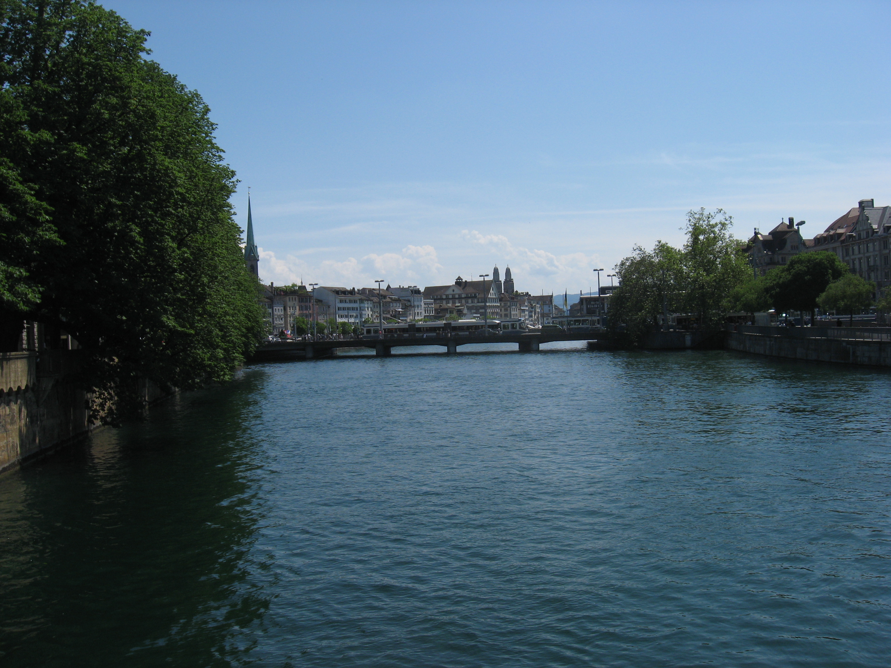 The Limmat river with trees on both sides